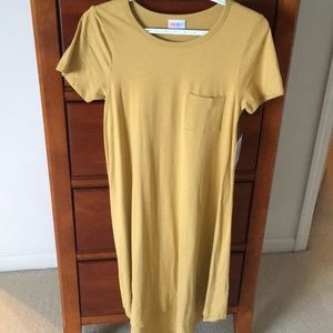 NWT Lularoe Carly Swing Dress